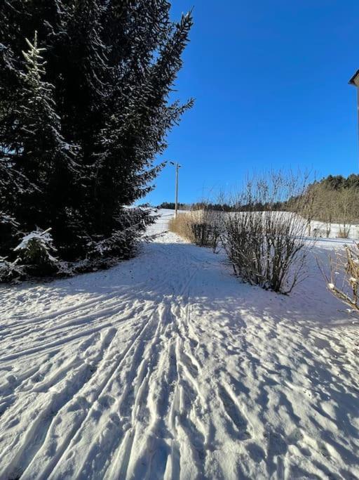 Franzis Feriendomizil Im Herzgebirge Am Skihang Auerbach  Dış mekan fotoğraf
