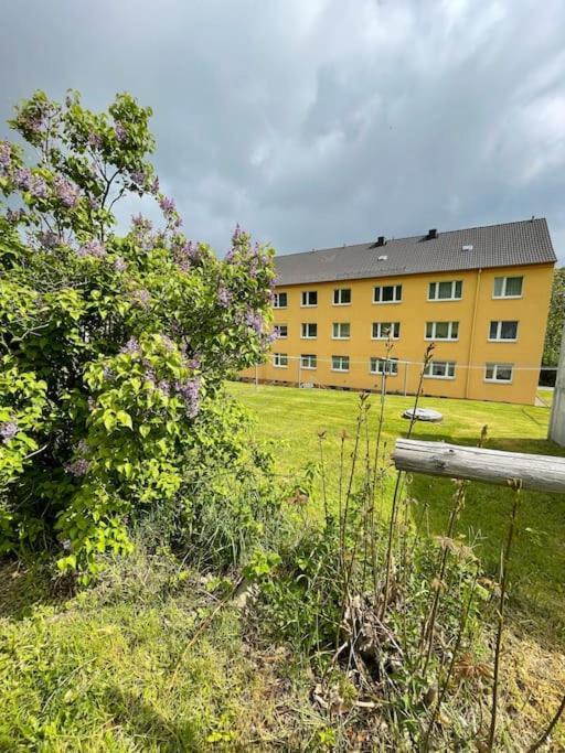 Franzis Feriendomizil Im Herzgebirge Am Skihang Auerbach  Dış mekan fotoğraf