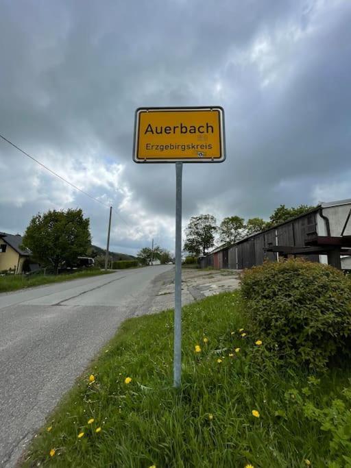 Franzis Feriendomizil Im Herzgebirge Am Skihang Auerbach  Dış mekan fotoğraf