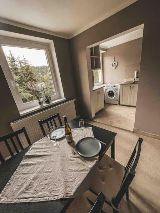 Franzis Feriendomizil Im Herzgebirge Am Skihang Auerbach  Dış mekan fotoğraf
