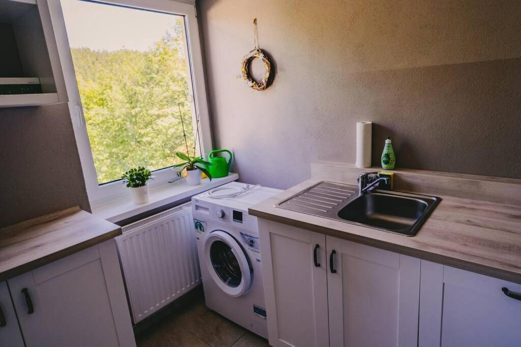 Franzis Feriendomizil Im Herzgebirge Am Skihang Auerbach  Dış mekan fotoğraf