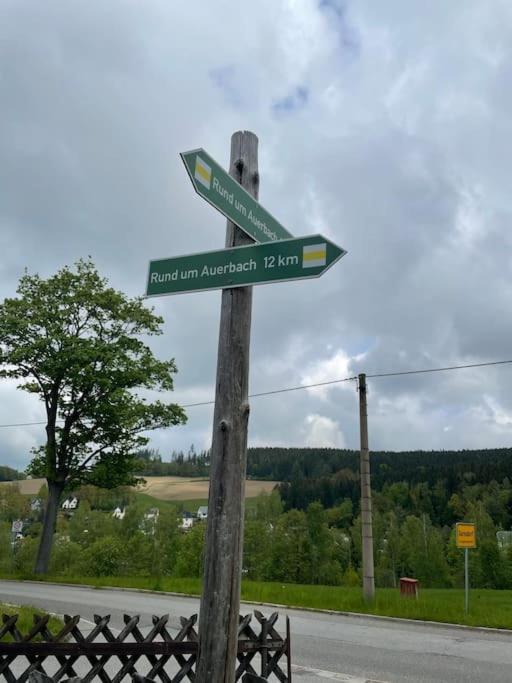 Franzis Feriendomizil Im Herzgebirge Am Skihang Auerbach  Dış mekan fotoğraf